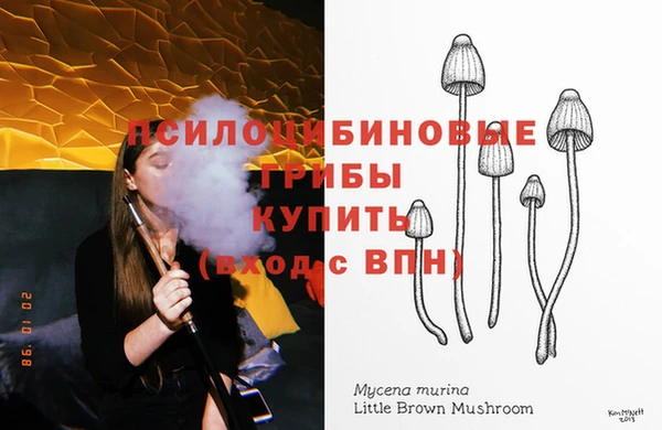 гидропоника Балабаново