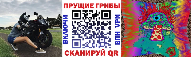 kraken   Великий Устюг  Псилоцибиновые грибы Psilocybine cubensis  darknet формула  купить наркотики сайты 