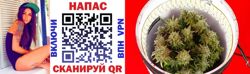 Канабис Ganja площадка состав Великий Устюг сколько стоит